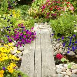 Enhance the Beauty of Your Home with a Flower Garden